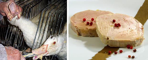 Foie Gras