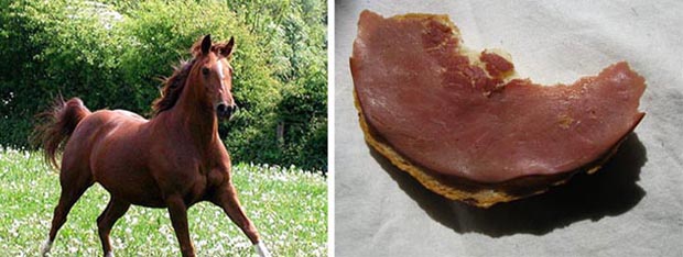 Horse Meat