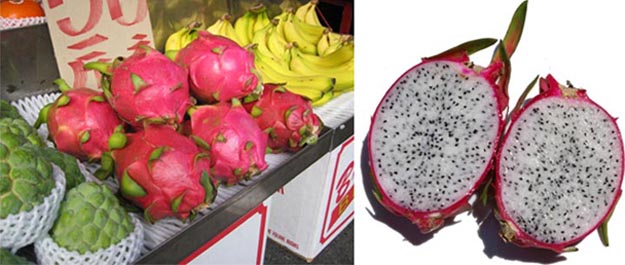 dragon fruit taste. Dragon Fruit