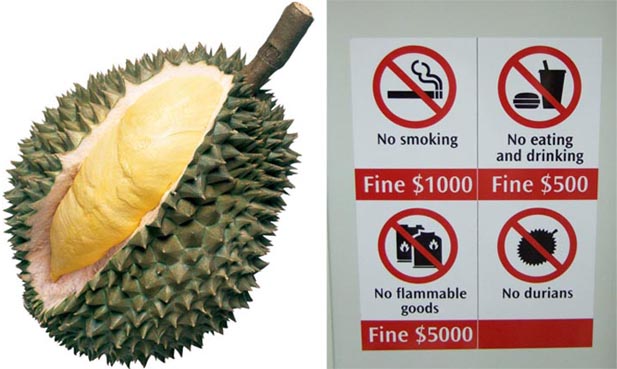 Durian