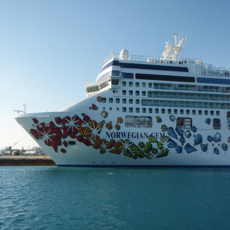 Celebrity Cruiseline on Norwegian Cruise Line   Tripbase Cruises