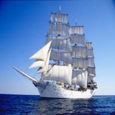 Sail ship cruises