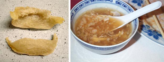 Bird's Nest Soup