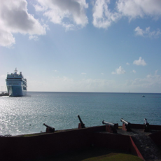 Cruise gift vouchers