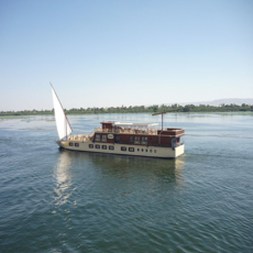 Senior cruises