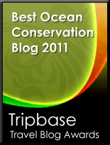 Tripbase Awards Badge